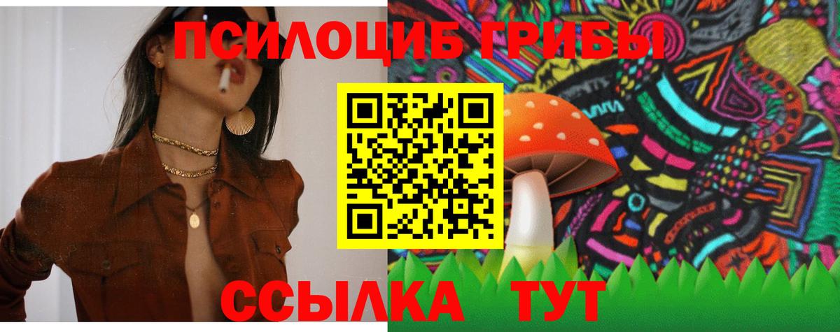 Псилоцибиновые грибы GOLDEN TEACHER  Вход с VPN  Городец 